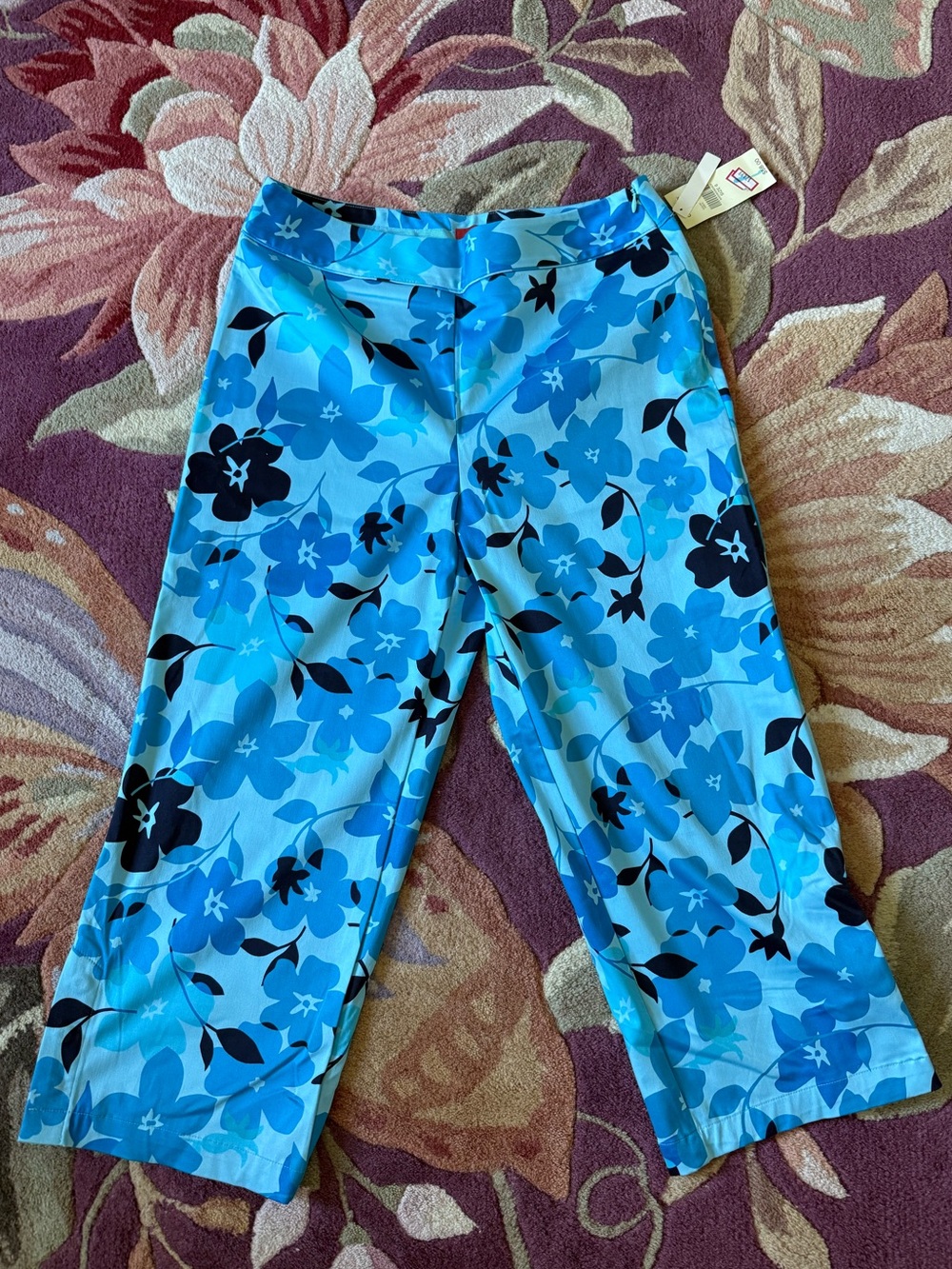 Valerie Stevens Turquoise Floral Pants